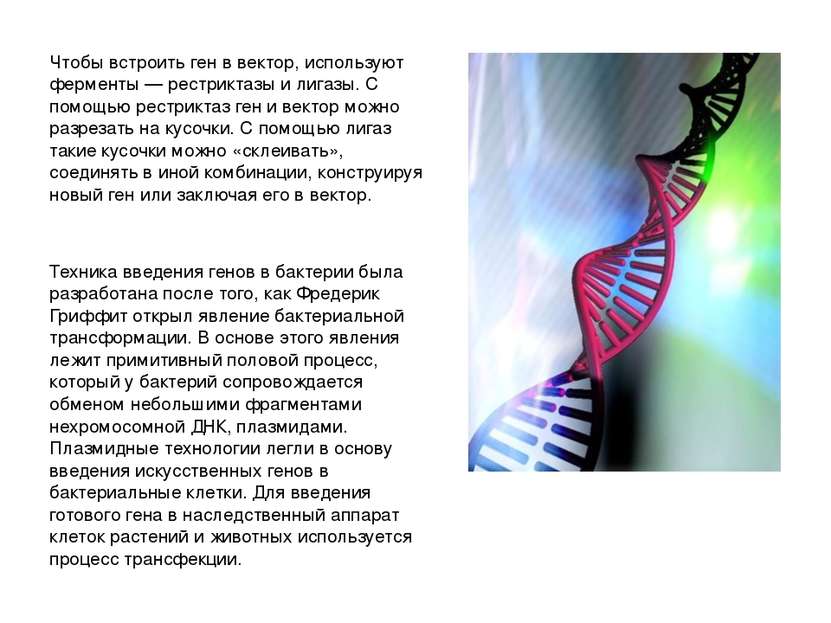 Чтобы встроить ген в вектор, используют ферменты — рестриктазы и лигазы. С по...