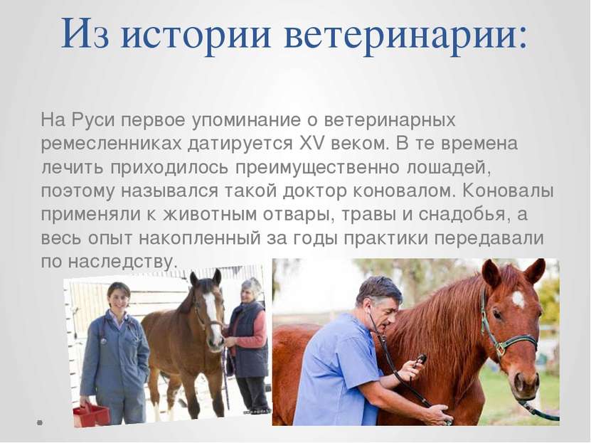 Из истории ветеринарии: На Руси первое упоминание о ветеринарных ремесленника...