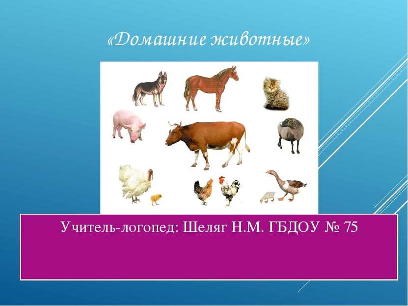 Учитель-логопед: Шеляг Н.М. ГБДОУ № 75 «Домашние животные»