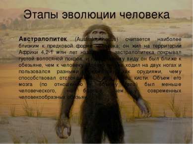 Этапы эволюции человека Австралопитек (Australopithecus) считается наиболее б...