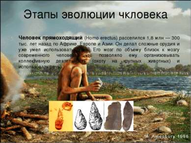 Этапы эволюции чкловека Человек прямоходящий (Homo erectus) расселился 1,8 мл...