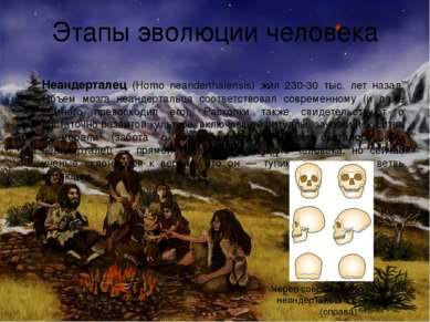 Этапы эволюции человека Неандерталец (Homo neanderthalensis) жил 230-30 тыс. ...
