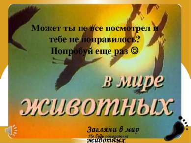 Слепыш постоянно живет под землей и почти никогда не выходит на поверхность. ...