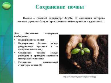 Сохранение почвы Почвы – главный агроресурс АгрЭс, от состояния которого зави...