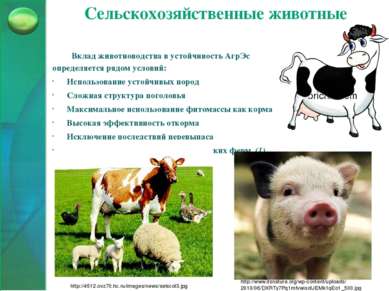 Сельскохозяйственные животные Вклад животноводства в устойчивость АгрЭс опред...