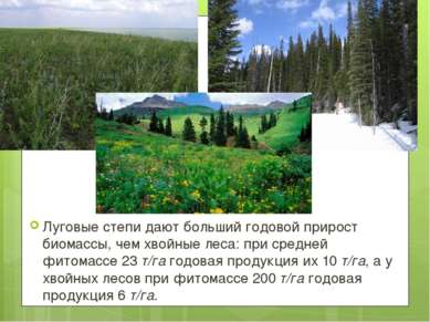 Луговые степи дают больший годовой прирост биомассы, чем хвойные леса: при ср...