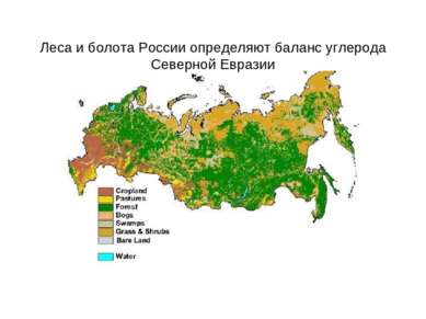 Леса и болота России определяют баланс углерода Северной Евразии