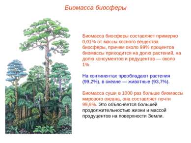Биомасса биосферы Биомасса биосферы составляет примерно 0,01% от массы косног...