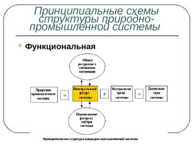 Функциональная Принципиальные схемы структуры природно-промышленной системы