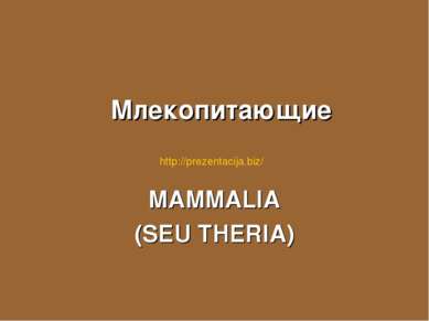 Млекопитающие MAMMALIA (SEU THERIA) http://prezentacija.biz/
