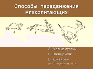 Способы передвижения млекопитающих А. Малый суслик Б. Заяц-русак В. Джейран (...