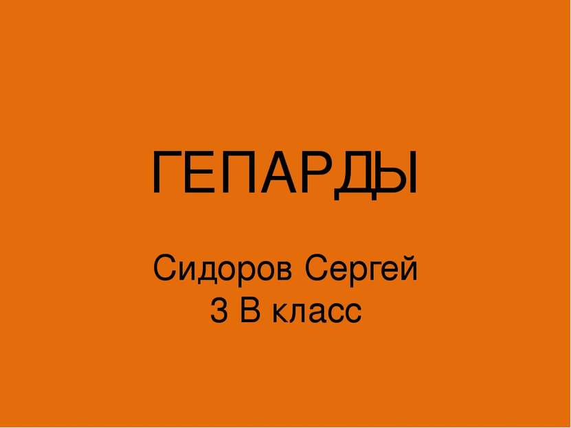 ГЕПАРДЫ Сидоров Сергей 3 В класс