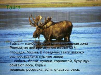 Тайга Тайга — наиболее обширная природная зона России, на неё приходится свыш...