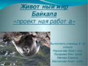 Животный мир Байкала
