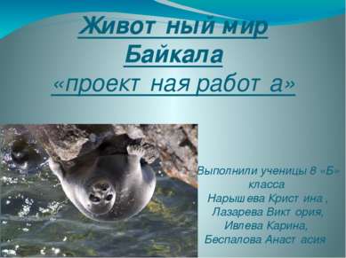 Животный мир Байкала «проектная работа» Выполнили ученицы 8 «Б» класса Нарыше...