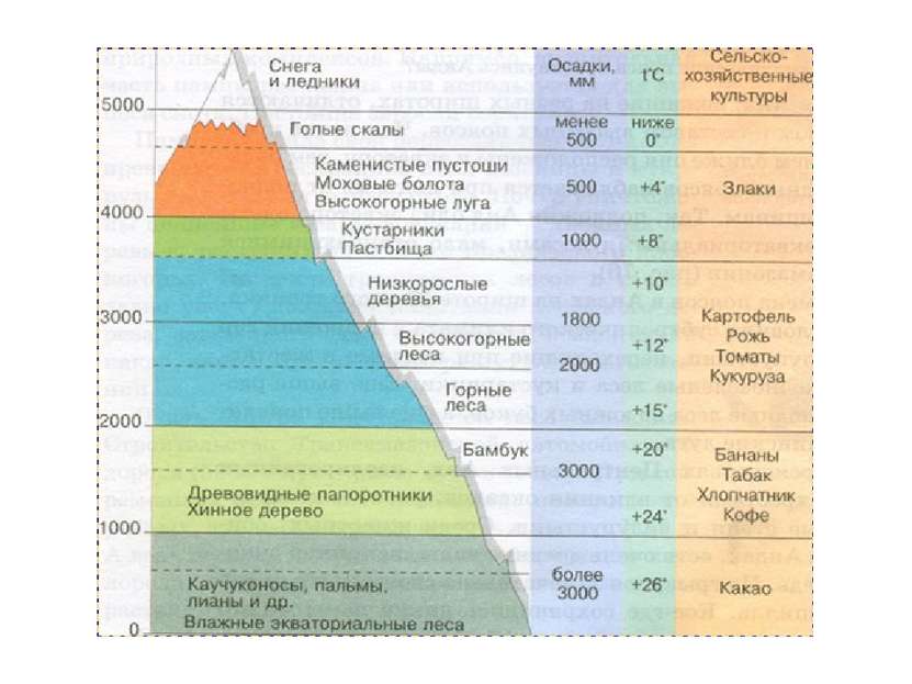 Объяснить различия структуры высотной поясности. Высотная поясность таблица природные зоны. Высотная поясность в Андах. Высотная поясность это в географии 7 класс. Высотная поясность гор России таблица.