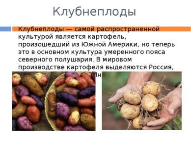 Клубнеплоды Клубнеплоды — самой распространенной культурой является картофель...