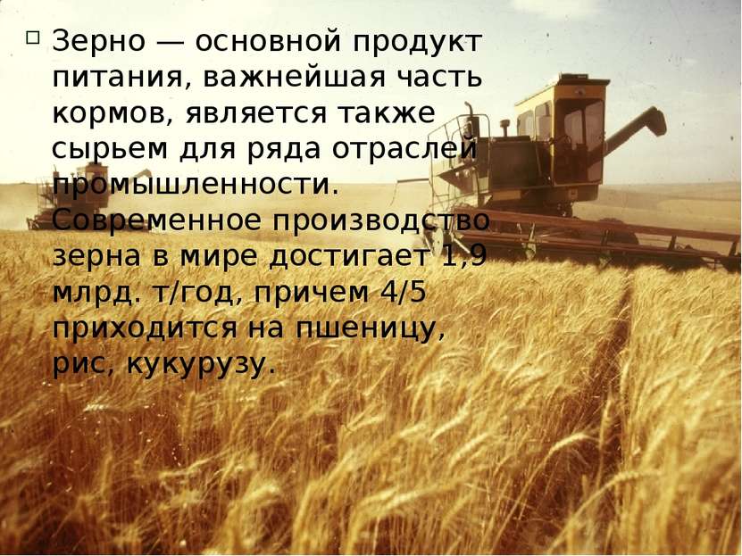 Зерно — основной продукт питания, важнейшая часть кормов, является также сырь...