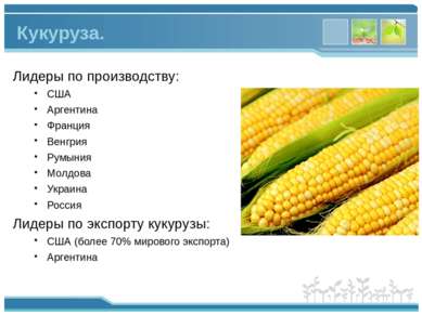 Лидеры по производству: США Аргентина Франция Венгрия Румыния Молдова Украина...