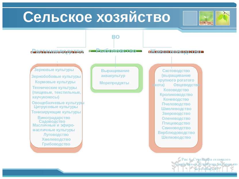 Сельское хозяйство во Растениеводство Животноводство Скотоводство (выращивани...