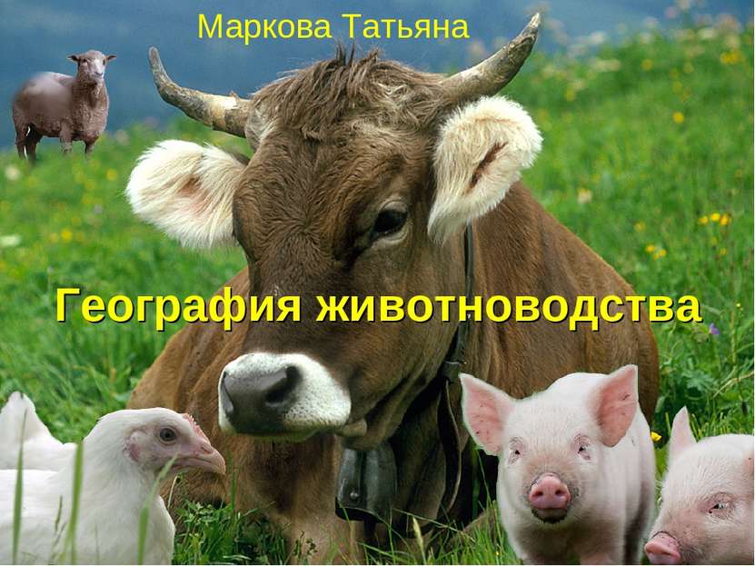География животноводства Маркова Татьяна