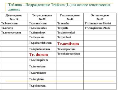 Таблица – Подразделение Tritikum (L.) на основе генетических данных Диплоидна...