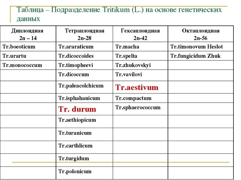 Таблица – Подразделение Tritikum (L.) на основе генетических данных Диплоидна...