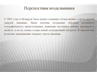 Перспективы возделывания С 2002 года в Беларуси была начата селекция отечеств...