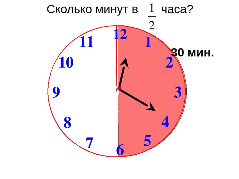 Сколько минут в часа? 30 мин. 1 2 9 6 12 11 10 8 7 4 5 3