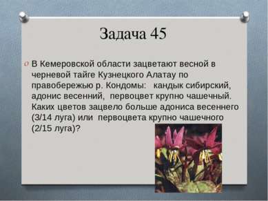 Задача 45 В Кемеровской области зацветают весной в черневой тайге Кузнецкого ...