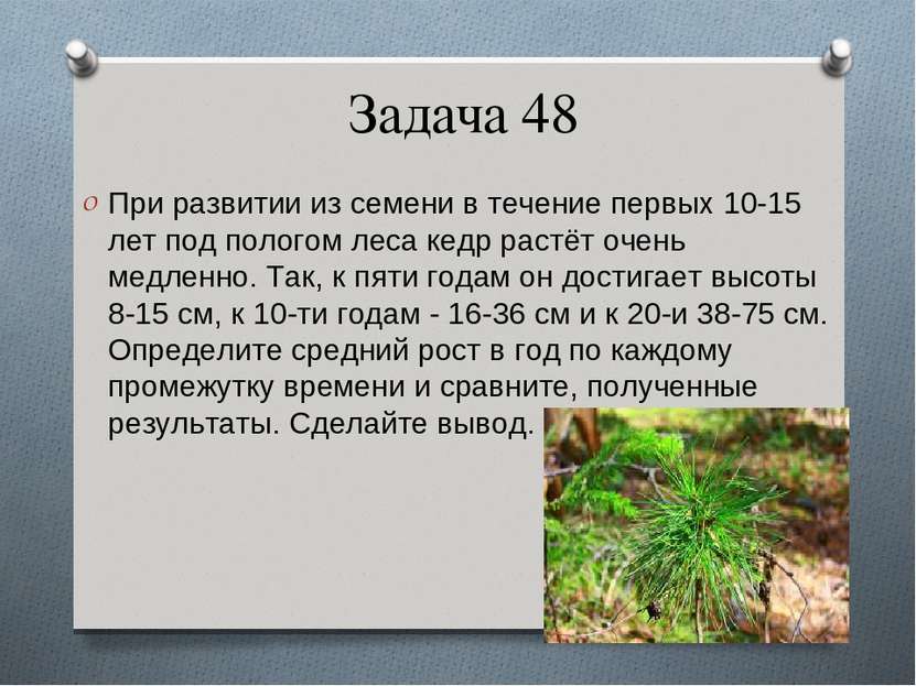 Задача 48 При развитии из семени в течение первых 10-15 лет под пологом леса ...
