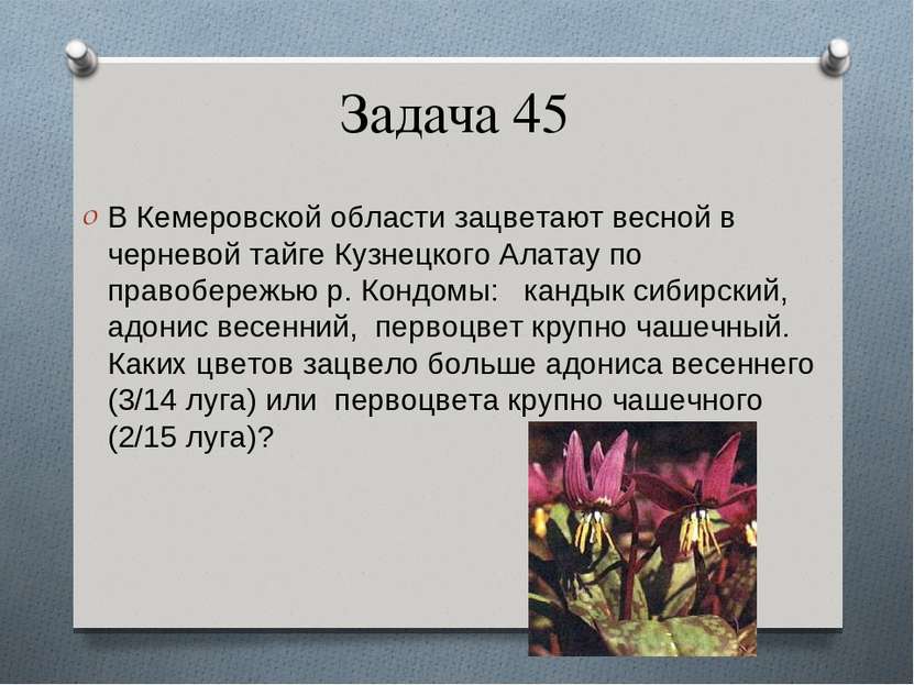 Задача 45 В Кемеровской области зацветают весной в черневой тайге Кузнецкого ...