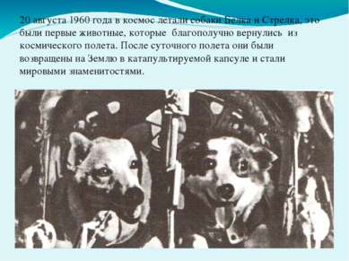 20 августа 1960 года в космос летали собаки Белка и Стрелка, это были первые ...