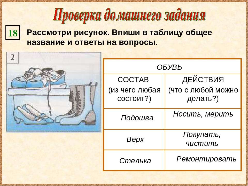 Рассмотри рисунок и закончи текст вписав нужные термины в корковом слое почки находится