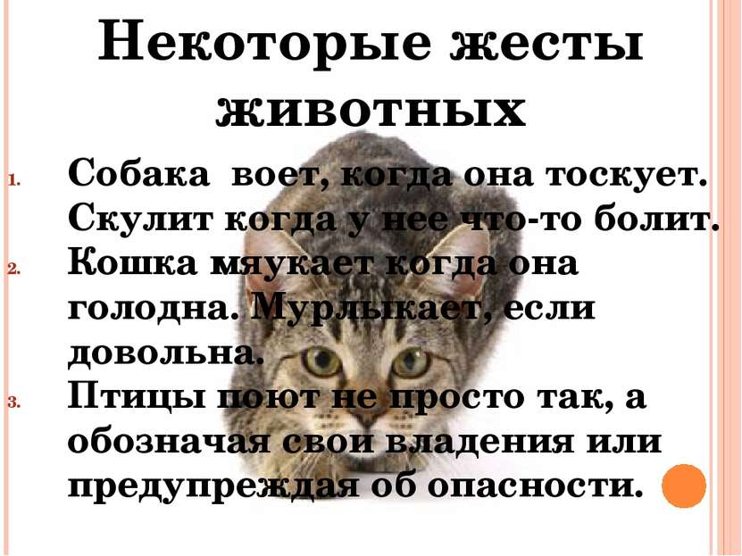 Некоторые жесты животных Собака воет, когда она тоскует. Скулит когда у нее ч...