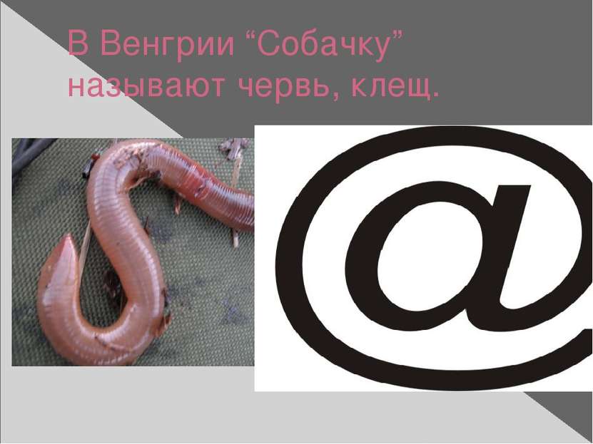 В Венгрии “Собачку” называют червь, клещ.