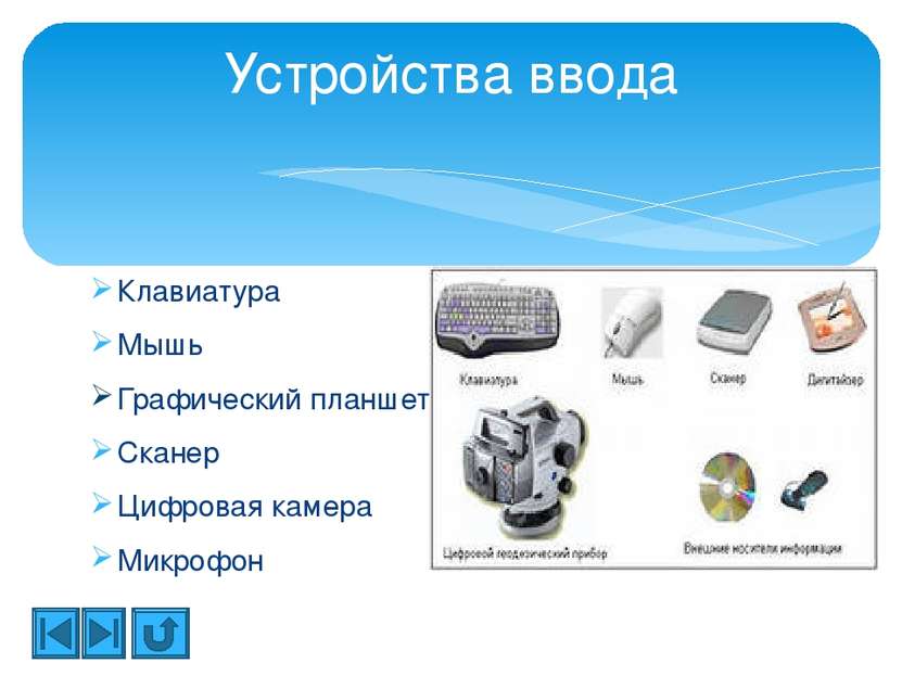 Камера ввод или вывод информации. Цифровой микроскоп устройство ввода. Сканер цифровая камера. Цифровой микроскоп это устройство ввода или вывода.