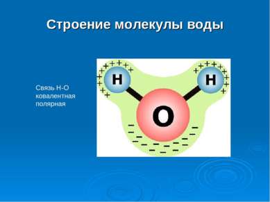 Строение молекулы воды Связь Н-О ковалентная полярная