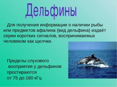Для получения информации о наличии рыбы или предметов афалина (вид дельфина) ...