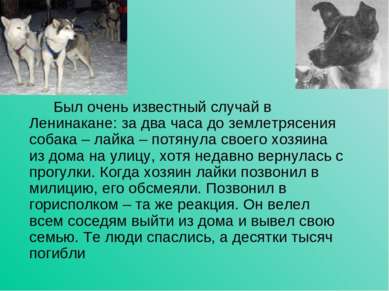 Был очень известный случай в Ленинакане: за два часа до землетрясения собака ...