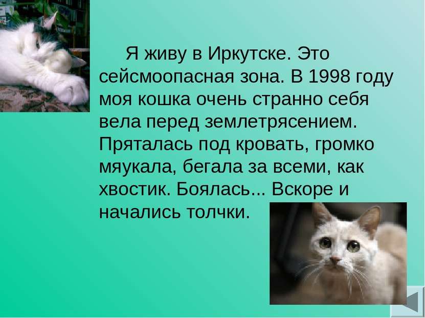 Я живу в Иркутске. Это сейсмоопасная зона. В 1998 году моя кошка очень странн...