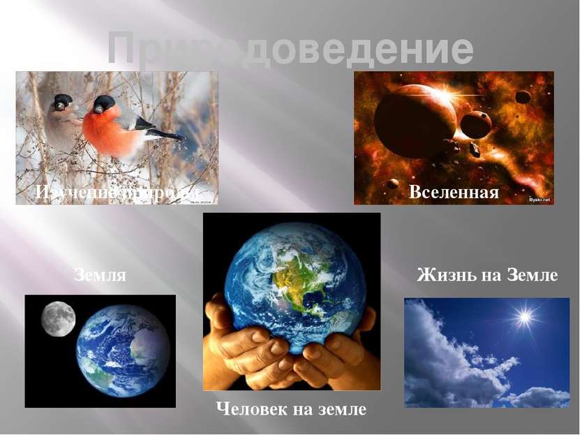 Природоведение Изучение природы Вселенная Земля Жизнь на Земле Человек на земле
