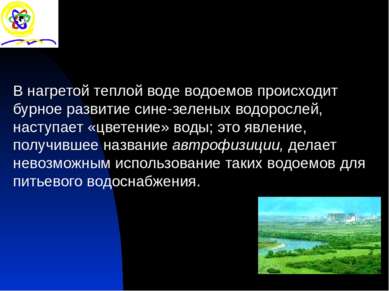 В нагретой теплой воде водоемов происходит бурное развитие сине-зеленых водор...