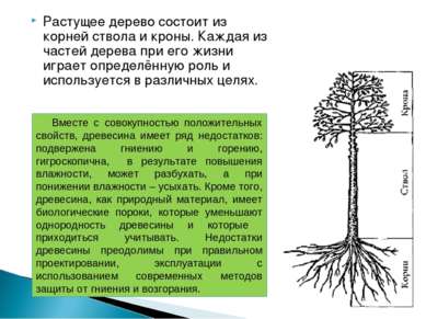 Растущее дерево состоит из корней ствола и кроны. Каждая из частей дерева при...