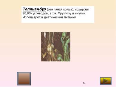 Топинамбур (земляная груша), содержит 20,6% углеводов, в т.ч. Фруктозу и инул...