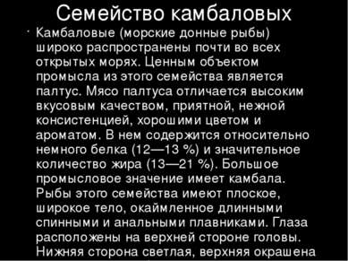 Семейство камбаловых Камбаловые (морские донные рыбы) широко распространены п...