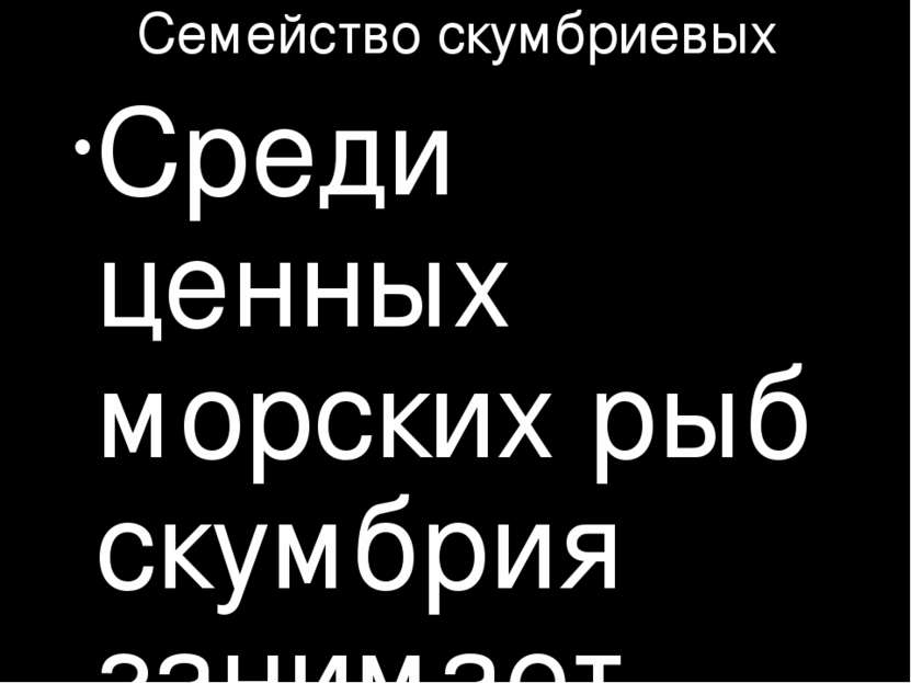 Семейство скумбриевых Среди ценных морских рыб скумбрия занимает особое место...