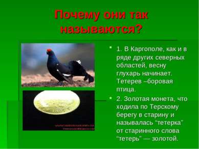 Почему они так называются? 1. В Каргополе, как и в ряде других северных облас...