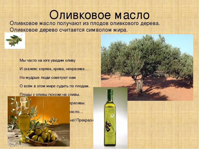 Оливковое масло Оливковое масло получают из плодов оливкового дерева. Оливков...