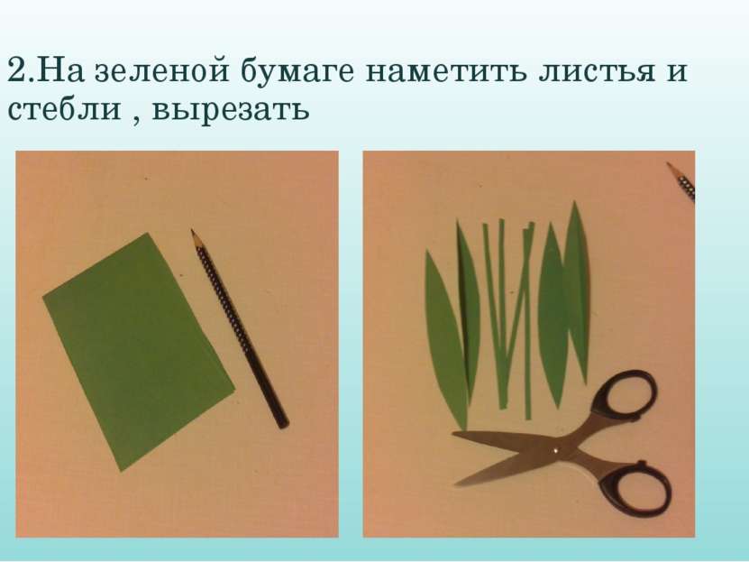2.На зеленой бумаге наметить листья и стебли , вырезать
